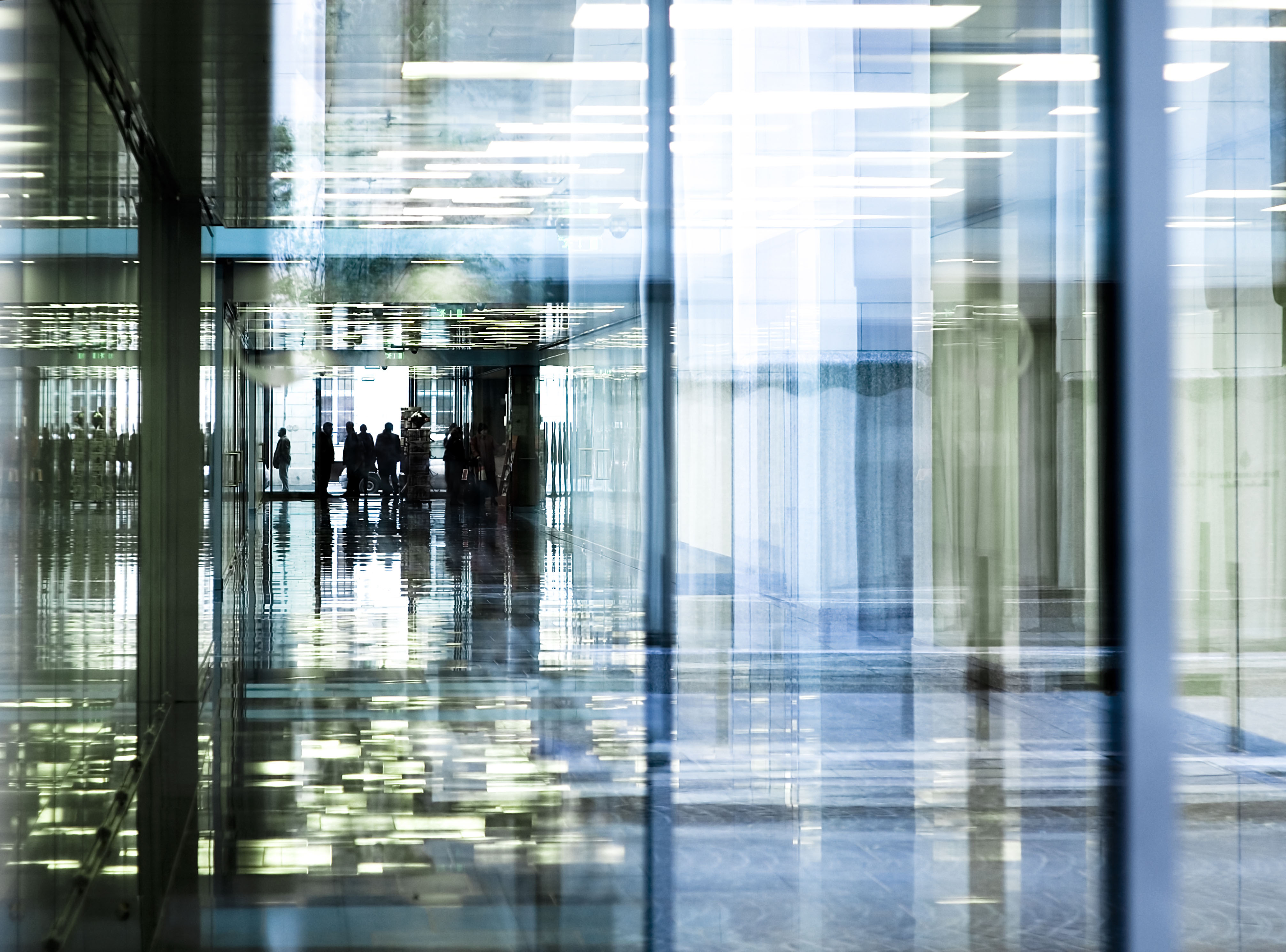 Dispute Resolution & Litigation